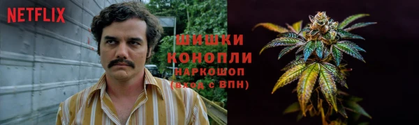 гидра Богородицк